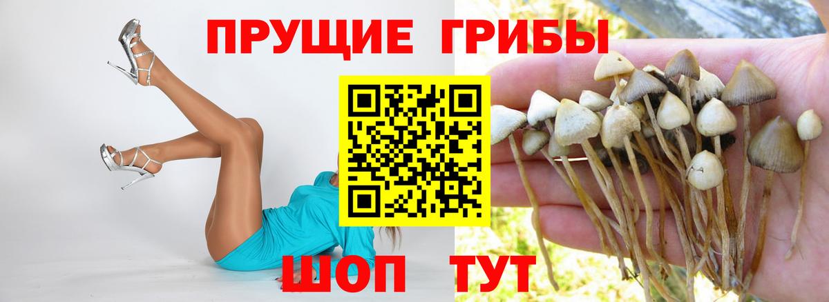 Галлюциногенные грибы Cubensis Жигулёвск